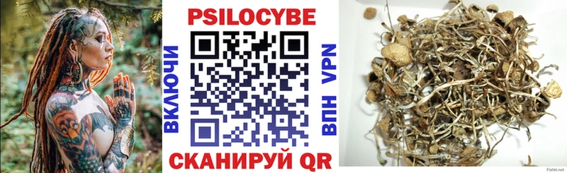 купить  цена  Благодарный  Галлюциногенные грибы Psilocybe 
